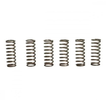 Пружины сцепления EBC CSK133/6