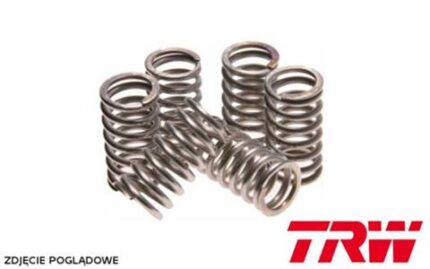 TRW Пружины сцепления SUZUKI DR 125 82-12, DRZ 125 04-12, RM 125 92-95, RM 250 86-87, DR 350 90-99, KAWASAKI KLX 125 03-06, (EBS034)