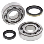 Подшипники коленвала AllBalls 24-1060 Suzuki RMX 250 95-98